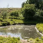 The Chard